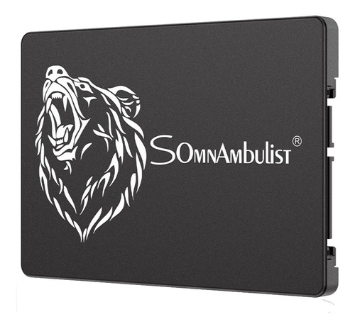 Disco sólido SSD interno Somnambulist Black Bear 240GB negro