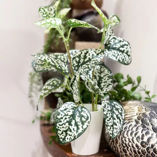 Planta Artificial De Escritorio Con Maceta Cónica + Piedras