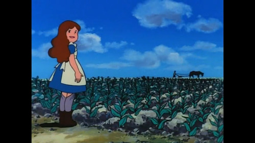 El Maravilloso Mago De Oz Clasico Anime Similar A Heidi