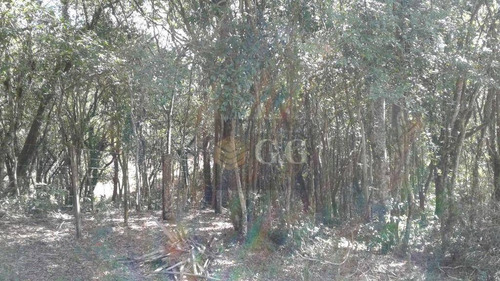 Imagem 2 de 24 de Casa Em Fase De Acabamento - Parque Florestal - Ca0892