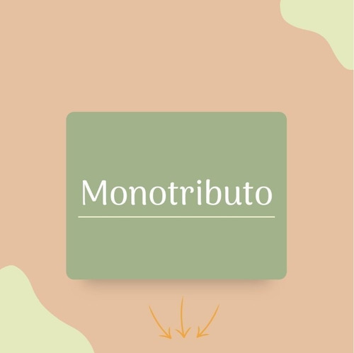 Imagen 2 de 2 de Monotributo - Ingresos Brutos