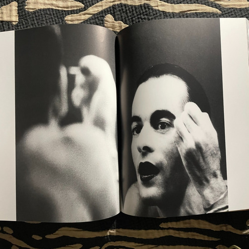 Livro - Ney Matogrosso Ousar Ser Com Cd (Usado)
