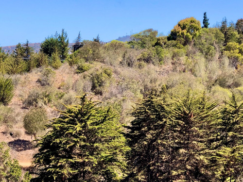 Interesante Propiedad En Venta De 4 Hectáreas En Cachagua