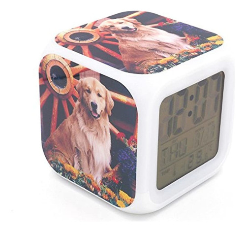 Bofy Led Despertador Golden Retriever Perro Cachorro Animal