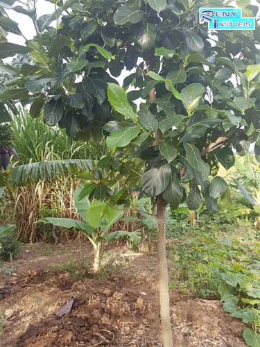 Imagem 11 de 14 de Sítios À Venda Em Pilar Do Sul/sp - Compre O Seu Sítios Aqui! - 1373063