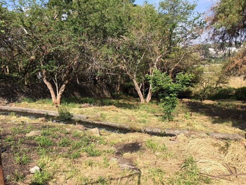 Terreno Urbano En Las Ánimas, Temixco, Morelos - Ber-782-tu