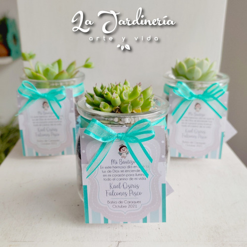 Imagen 7 de 10 de Recuerdos Souvenirs Plantas Vivas Terrarios