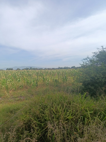 Se Venden 8 Hectáreas En Trojes Ejido De Tamayo Celaya