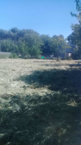 El Mejor Precio De La Zona