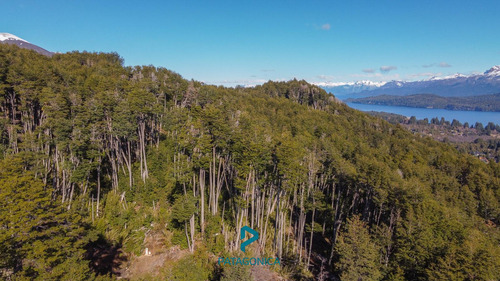 Venta Terreno Uf 2b, Apto 3 Uf, 4091m2, Con Vista Al Lago En Barrio Exclusivo Cota Mil