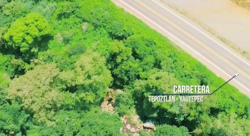 Imagen 6 de 13 de Terreno Residencial En Tepoztlán Con Vista Al Tepozteco