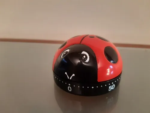 Reloj Minutero Para Cocina
