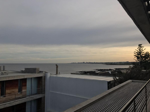 Departamento - Playa Brava