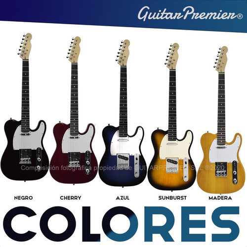 Guitarra Electrica T Telecaster Colores Pua Garantia Oficial