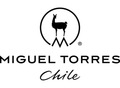 Viña Miguel Torres