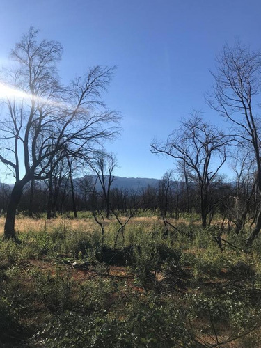 Imagen 4 de 10 de Terreno - Las Golondrinas