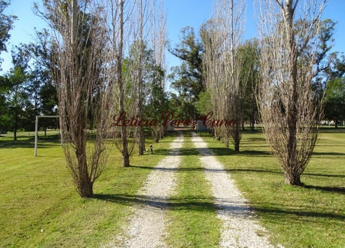 Chacra En Venta En Camino De Los Ceibos- Ref: 19162