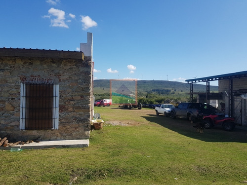 Imagen 14 de 14 de Campo De Olivos 324 Has En Los Caracoles