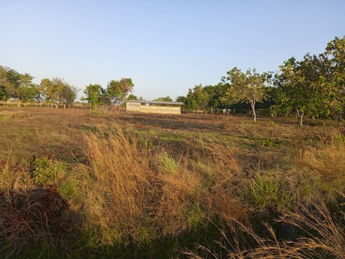Imagen 6 de 11 de Venta De Espectacular Hato En Calabozo Estado Guárico