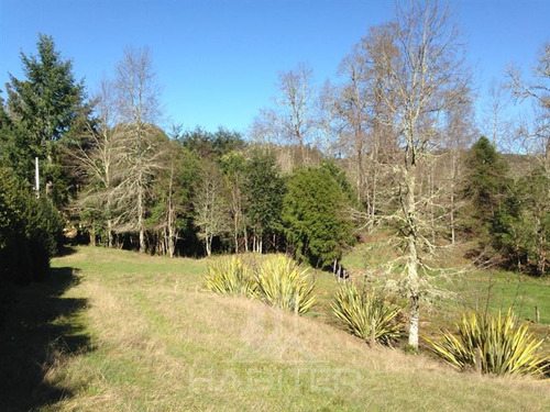 Parcela Con Bosque Y Estero En Valdivia