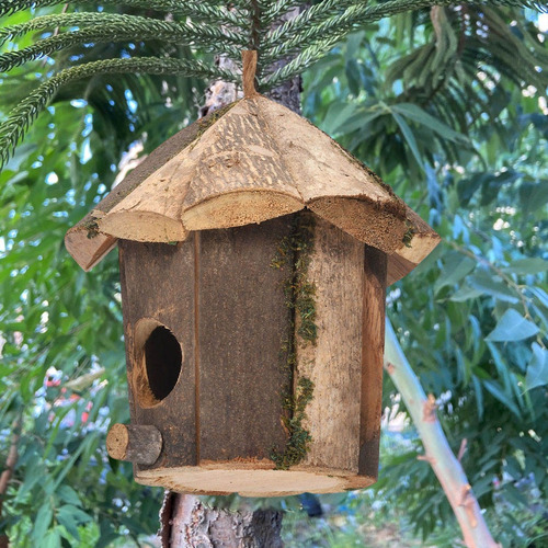 Bare Madera Mini Pájaro Casa #8440 