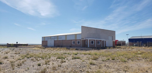 Imagen 3 de 30 de Alquilo Galpon 500 M2 - Predio 11.000 M2 Y Ofi 60 M2 -