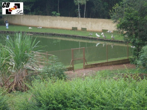 Imagem 16 de 30 de Chacara - Ch00075 - 3372375