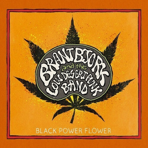 Bjork Brant & Low Desert Punk Band Black Power Usa Import Cd