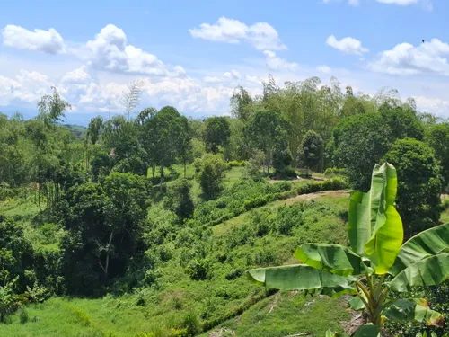 Oportunidad De Inversión! Excelente Ubicación Lote Campestre