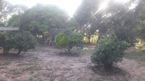 Imagem 27 de 30 de Venda: Chácara Sonho Meu - Santa Rita - Ch00154