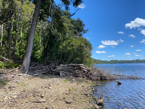 Z O N A S U R. C L Parcelas Orilla Y Acceso Lago Huilipilun