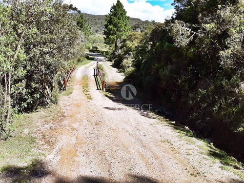 Imagem 8 de 15 de Sua Casa No Condomínio Rancho Queimado - . - Ca0055