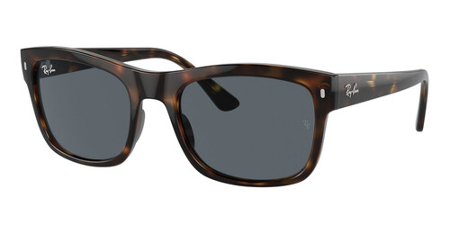 Lentes De Sol Havana Ray-ban Rb4428710r5