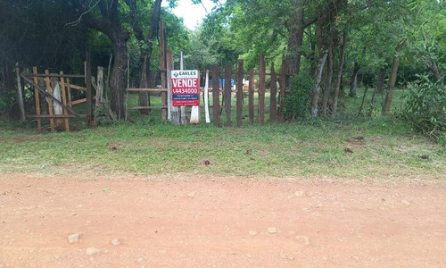 (cod. 319) - Hermoso Lote Acceso Oeste - Barrio Tacuaritas
