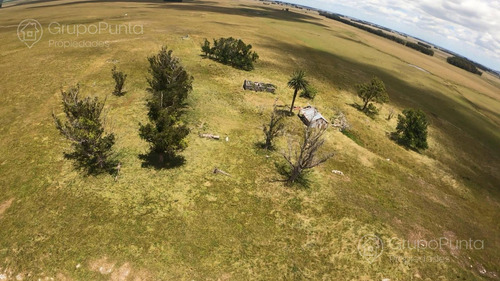 Campo En Venta - Rocha