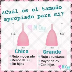 Copa Menstrual Aneer Tallas S & L En Su Caja Oferta