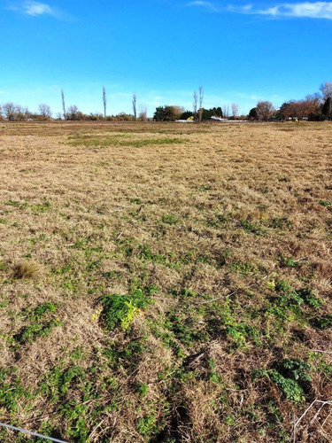 Imagen 3 de 3 de Hermoso Lote De 40 X 112 Mts En Venta En #trenquelauquen