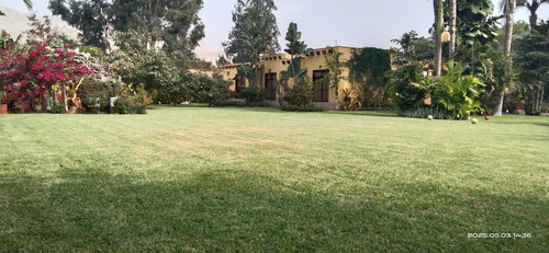 Palmeras De Condorhuaca Eventos Full Day 3000mts2.