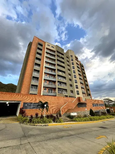 Res Pedragosa , Mañongo