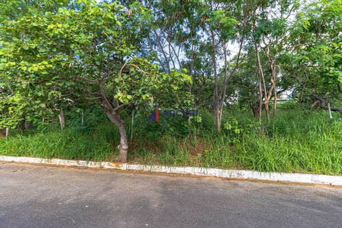 Imagem 4 de 16 de Lote 1000 M² Em Lagoa Santa (mg) Venda - 10094