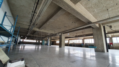 Depósito Piso Industrial Alquiler Ruiz Pineda 1270 Mts2 Sonmetros2 B-9qnx 0406