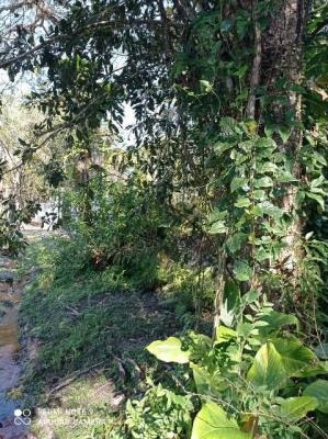 Imagem 14 de 14 de Chácara Itanhaém Lote Com 3013 M² Vaga 10 Veículo Lado Serra