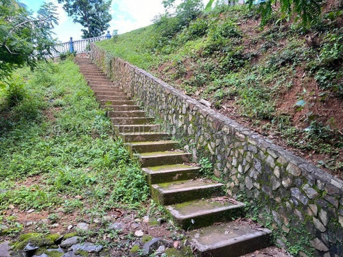 Finca Hacienda En Venta San Casimiro Aragua 25-2969 Wjo