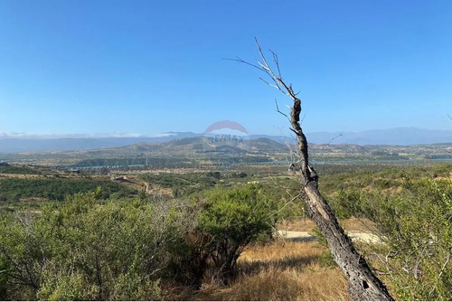 Terreno En Venta Hacienda Los Aromos,valle Nativo