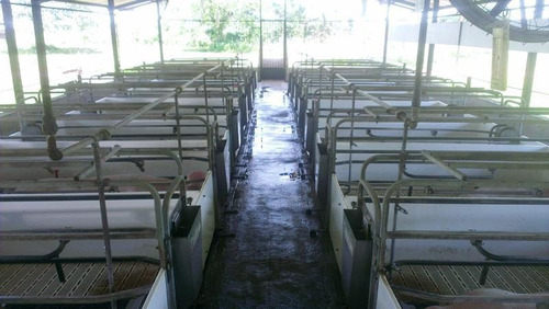 Imagen 8 de 14 de Venta De Finca Porcina En Produccion Para Inversionistas
