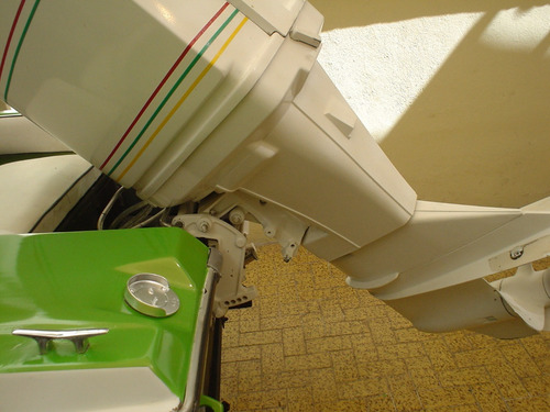 Lancha Grande Marca Vip Linea V19 Vixen Motor Evinrude Gran