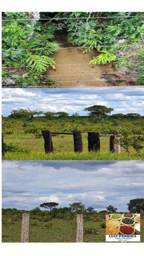 Imagem 6 de 14 de Fazenda À Venda Em Caampo Grande -ms - De 3.417,48 Hectares (dupla Aptidão) - 1626