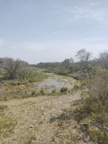 Imagen 2 de 15 de En Venta Chacra Mojones Norte 10.5 Ha