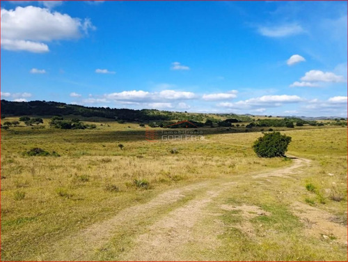 Imagen 3 de 14 de Maldonado - Venta De Campo Con Costa !! Zona De Aiguá
