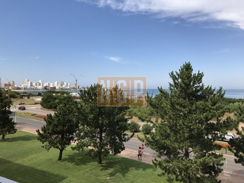 Apartamente Frente Al Mar, 100 % Reciclado En Excelente Ubicacion Frente Al Mar Y Cerca Del Casino Ex Conrad.-ref:26704